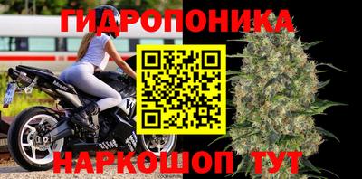 мдма Заводоуковск