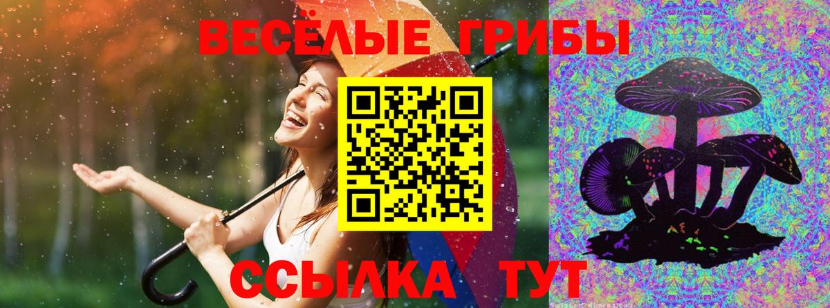Галлюциногенные грибы мицелий Всеволожск
